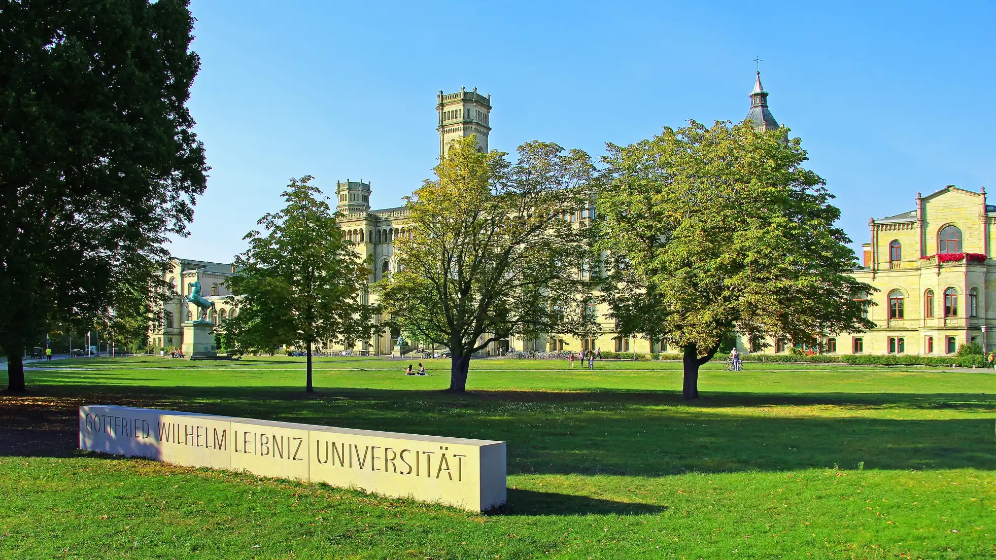 University Background